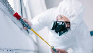 Best Residential Pest Control  in Whitesboro, NJ